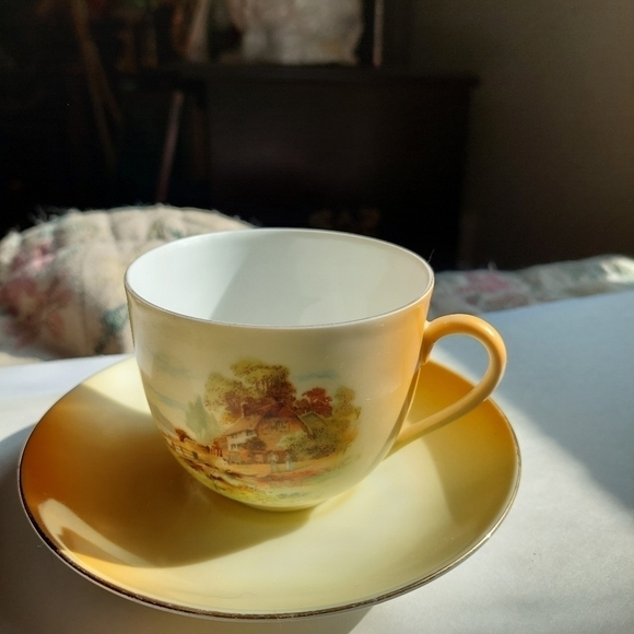 Vintage* Handpainted Porcelain Cup and Saucer Set - Picture 1 of 7